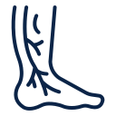 Microvascular Surgeries